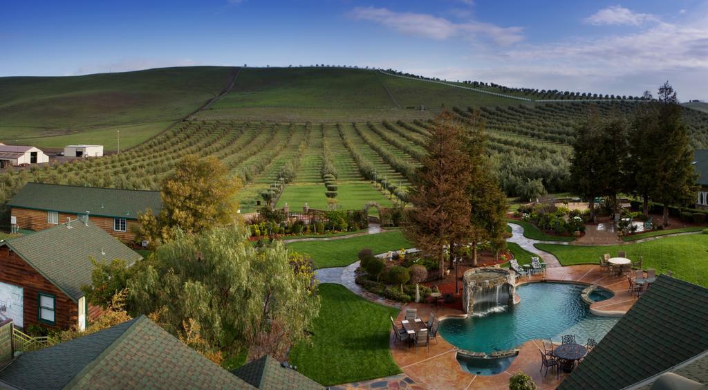 Purple Orchid Resort & Spa Livermore Værelse billede